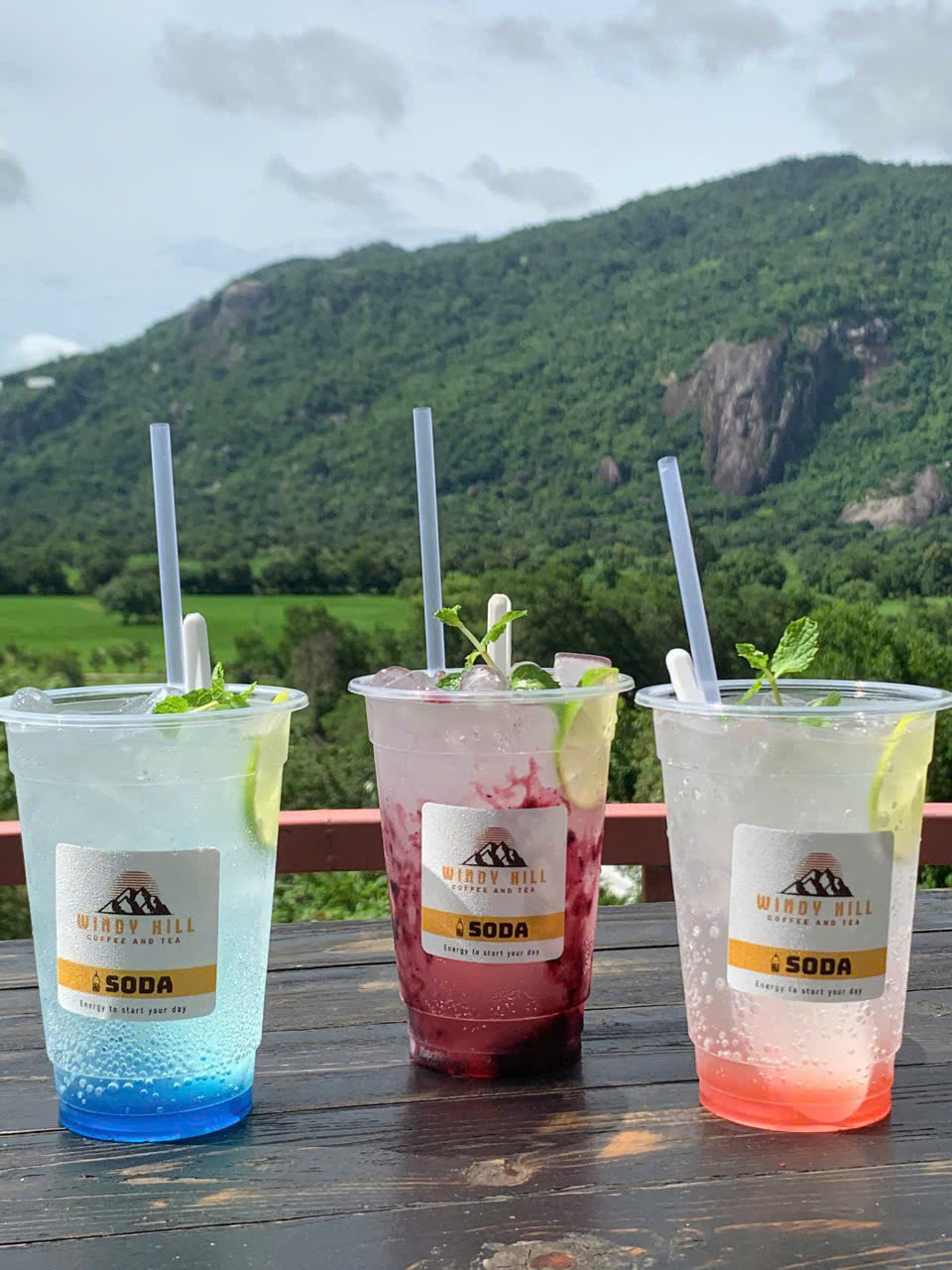 Khu hoạt động ngoài trời